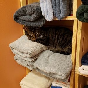 Meet your Posher, Caroline